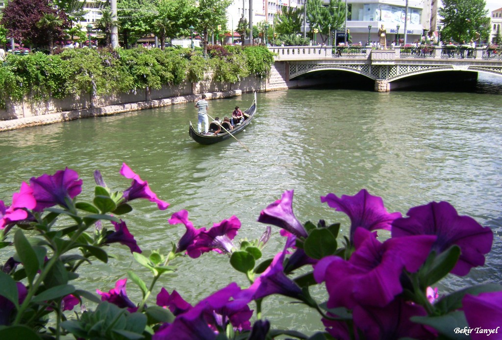 DSC02684.jpg